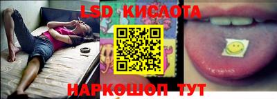 СК Ногинск