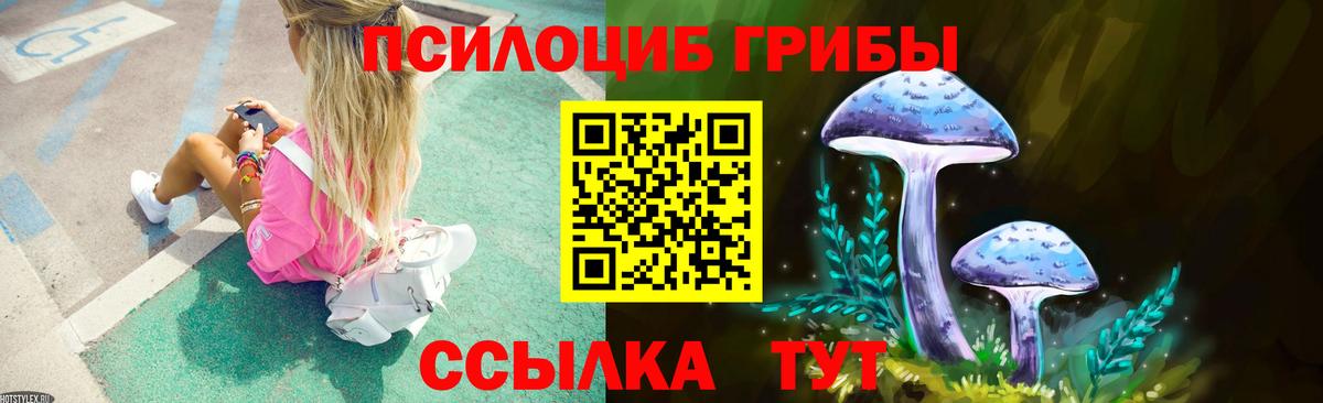 купить   Псилоцибиновые грибы Psilocybe  Вход с VPN  Галлюциногенные грибы Psilocybe  Вязьма 